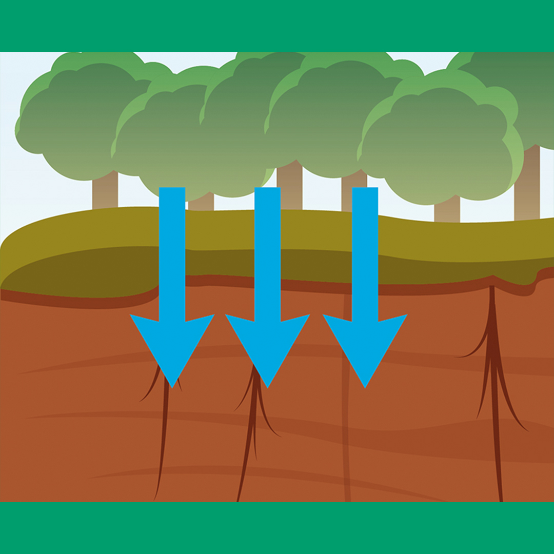 TourTurf® ELL Respond® Extreme Long Lasting Wetting Agent
